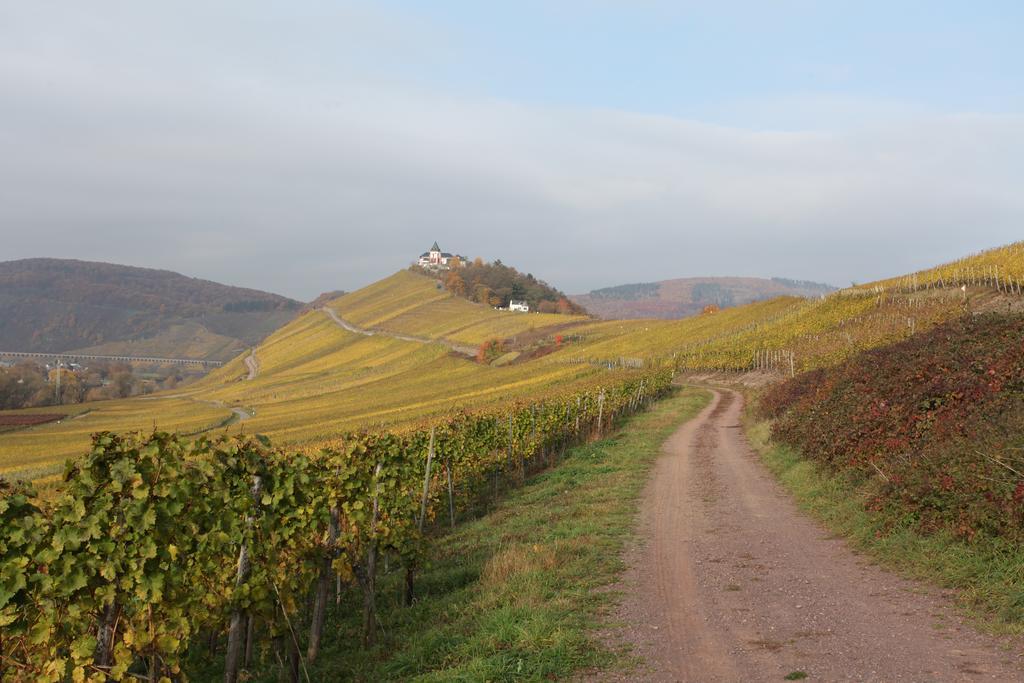 Weingut Pension Gibbert-Pohl Briedel Exterior foto