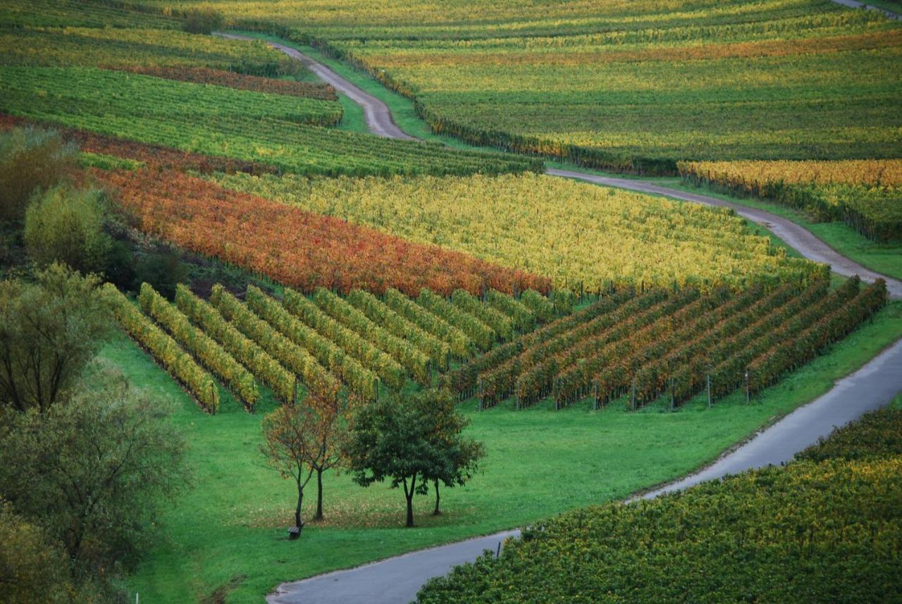 Weingut Pension Gibbert-Pohl Briedel Exterior foto